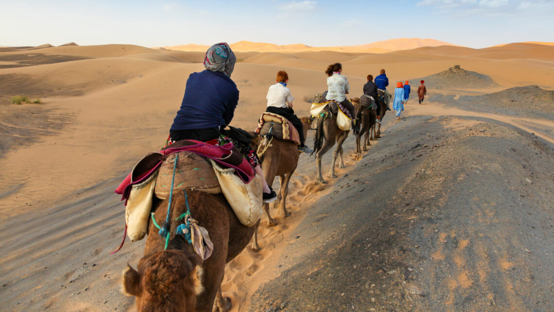 voyage moto tunisie.Chameaux avec leur monture dans le désert