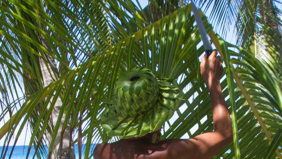 Cueille d'une feuille de cocotier